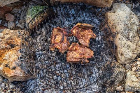 Grill in nature 写真素材