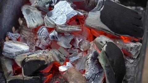 Grill preparation concept. Stock Footage 156049342