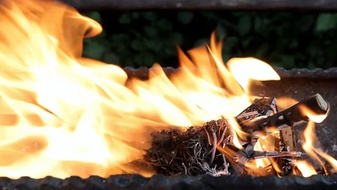 In the grill quickly burns dry grass Stock Footage 113231930