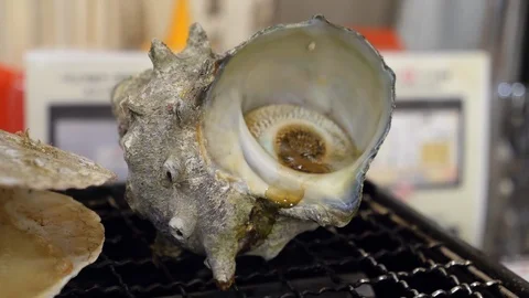 Grill shellfish, Japanese conch on the hot grate grill close up Vídeo Stock 102008718
