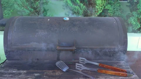 Grill With Smoke Stock Footage 159997378