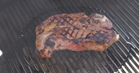 Grill Steak Vídeos de archivo 77738905