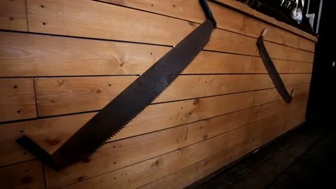 Grill taiga bar Video stock 77411621