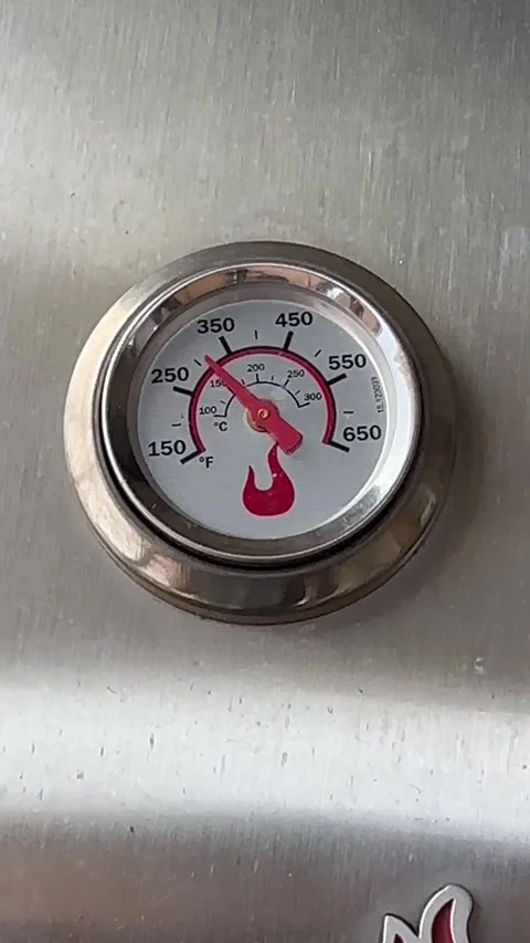 Grill Temperature Gauge, Vertical Stock-Footage 250562400
