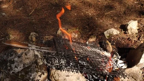 Grill Wire on the Campfire Stock Footage 325654095