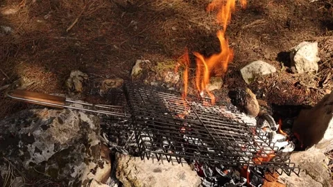 Grill Wire on the Campfire (Slow Motion) Stock Footage 325654109