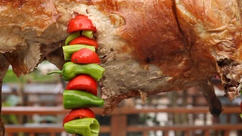 Grill04 Video stock 123729793