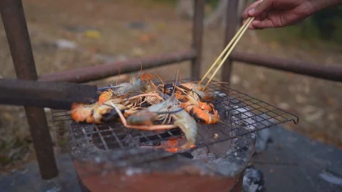 Grilled and roasted squid on fire for cooking sea food Stock Footage 123926839