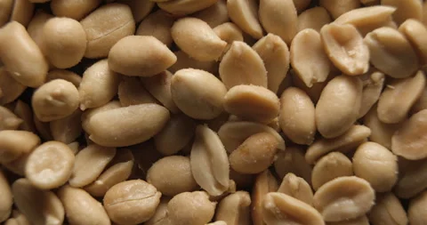Grilled and salted peanuts close up studio shot over rotating Vidéo 334256485