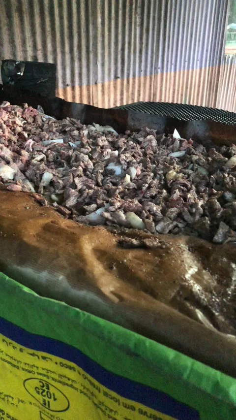 Grilled camel meat Stock Footage 220622655