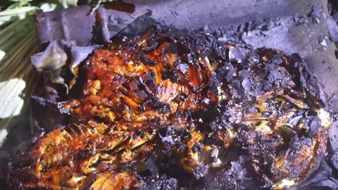 Grilled carp on coals at night Video stock 307928987