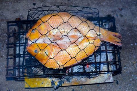 Grilled carp Stock Photos