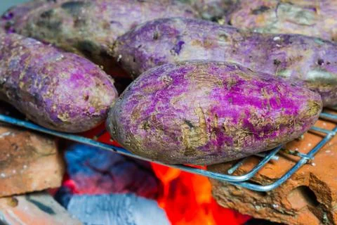 Grilled cassava Stock Photos