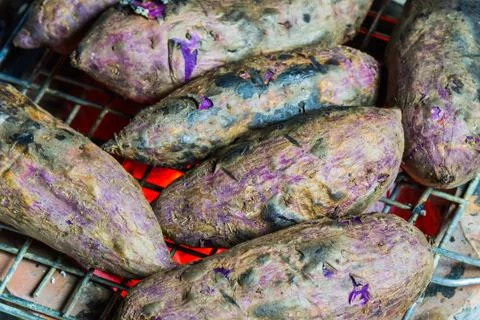 Grilled cassava Stock Photos