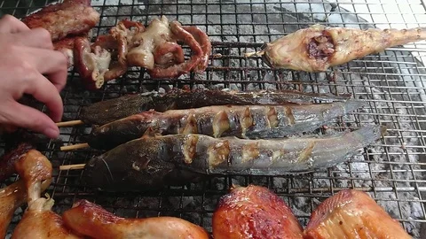 Grilled cat fish and assorted meat over the coals on a barbecue Video stock 96506681