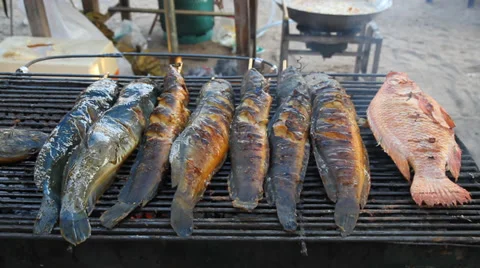 Grilled Catfish 스톡 동영상 34007995