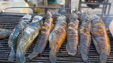 Grilled Catfish 스톡 동영상 34008296