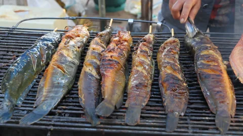 Grilled Catfish 스톡 동영상 34009337