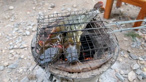 Grilled catfish paste is placed on charcoal stove. Traditional Thai food. Stock Footage 119697683