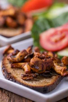 Grilled chanterelles on a slice of bread Stock Photos