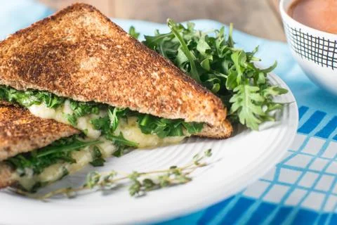 Grilled cheese with toasted bread Stock Photos