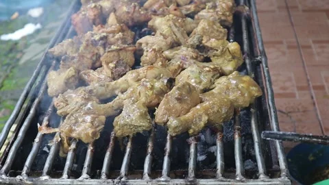 Grilled chicken (2) Video stock 280118429
