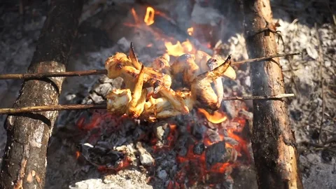 Grilled chicken on fire.Cooking meat on the fire. Picnic in the woods. Stock Footage 106464780
