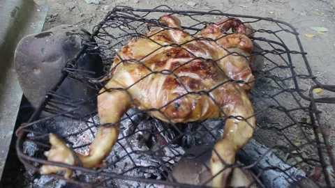 Grilled chicken in the fireplace Stock Footage 201319919
