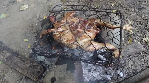 Grilled chicken in the fireplace Stock Footage 201320110