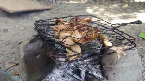 Grilled chicken in the fireplace Stock Footage 201320115