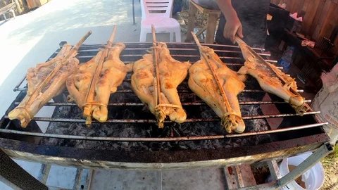 Grilled chicken on a grill. Stock Footage 100025975