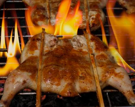 Grilled chicken  on the grill Stock Photos