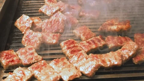 Grilled chicken meat, close-up 스톡 동영상 313884398
