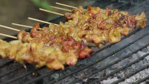 Grilled chicken meat Stock Footage 143611942