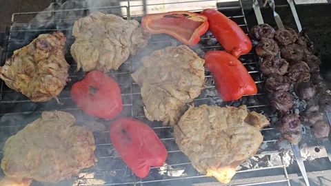 Grilled chicken meat Stock Footage 301001896