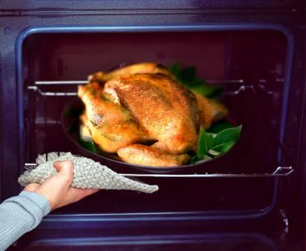Grilled chicken Stock Photos