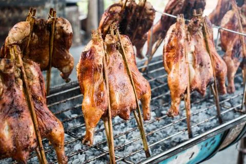 Grilled chicken Stock Photos