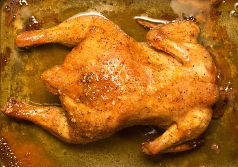 Grilled chicken Stock Photos