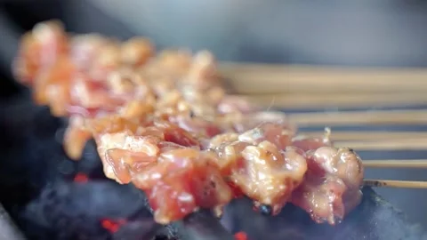 Grilled chicken satay close up Video stock 267681097