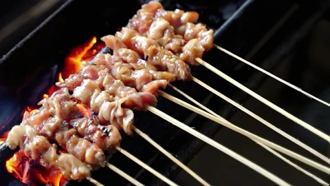 Grilled chicken satay Stock Footage 267681119