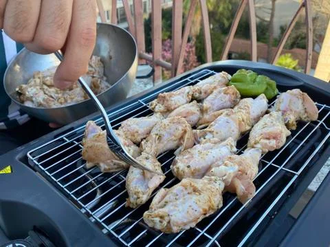 Grilled chicken, selective focus. Stock Photos