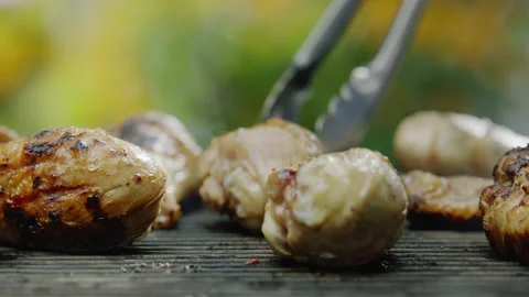 Grilled Chicken Toasting on Bbq Grid Close-up Video stock 145253459