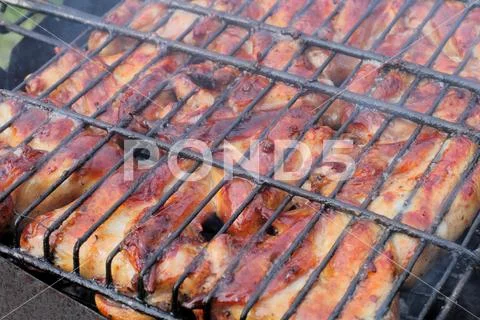 Grilled chicken wings barbecue on coals in field conditions, juicy natural co Stock Photos