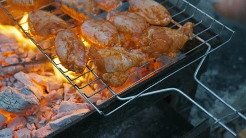 Grilled chicken wings Stock Footage 168828480