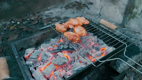 Grilled chicken wings Stock Footage 168828494