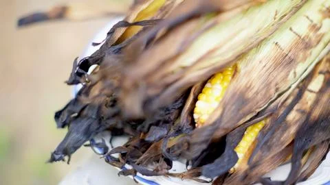 Grilled Corn on the Cob 2 Stock Photos