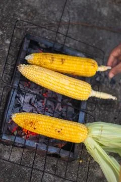 Grilled Corn on the Cob on Barbecue Fotos de archivo