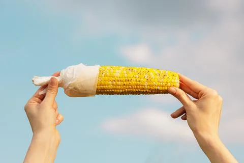 Grilled Corn Cob With Butter Held In Hands Outdoors Stock Photos