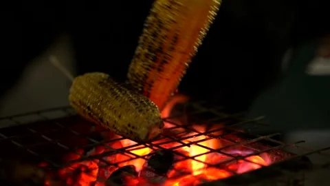 Grilled corn on the cob Stock Footage 232872844