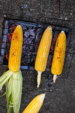 Grilled Corn on the Cob on Grill Stock Photos